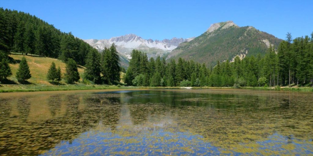 montagnes lac et forêts, l'été dans un parc naturel des Hautes-Alpes