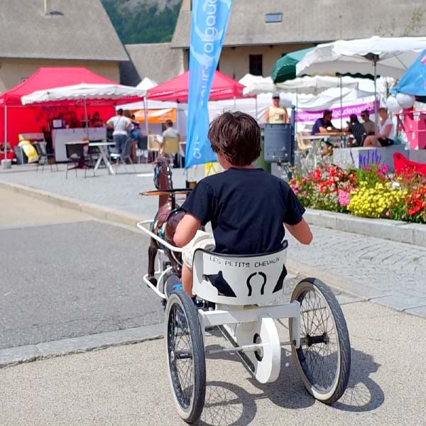 un petit garçon sur un vélo en forme d'attelage avec un cheval de bois à l'avant