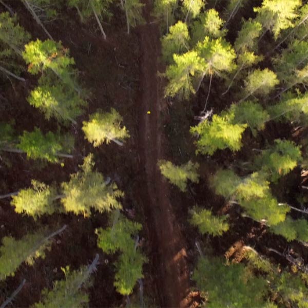 vue aérienne du parcours du trail Gapencimes dans la forêt