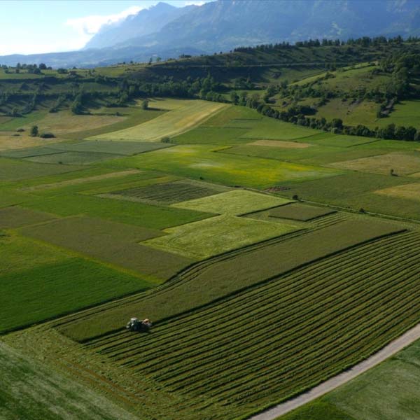 de vastes champs cultivés pour l'agriculture dans les Hautes-Alpes