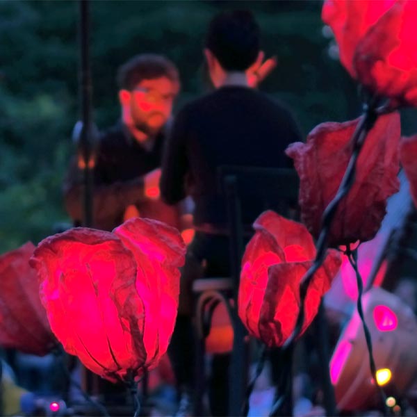 spectacle Tous dehors(enfin), concert de nuit dans un champ de coquelicots lumineux