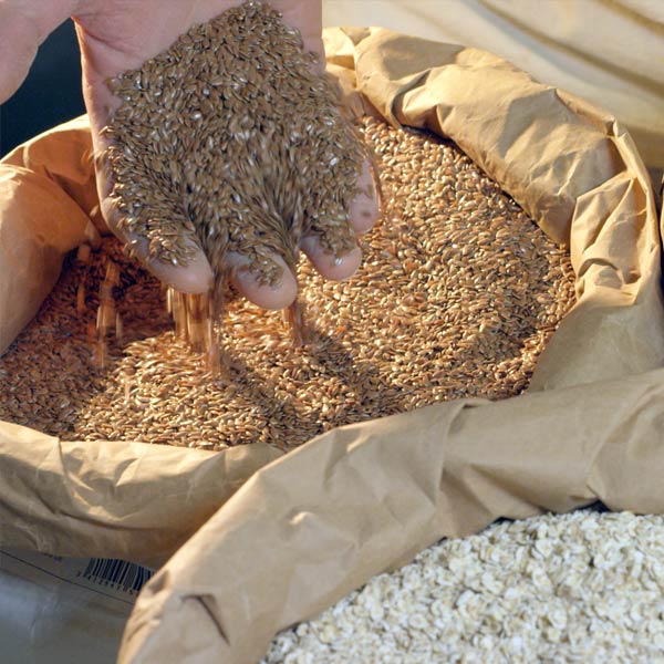 différents sacs de graines à la boulangerie Lopain de Terre